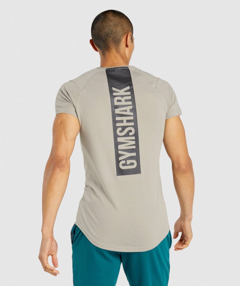 Men\'s Gymshark Bold T-Shirts Grey | CA 830A65